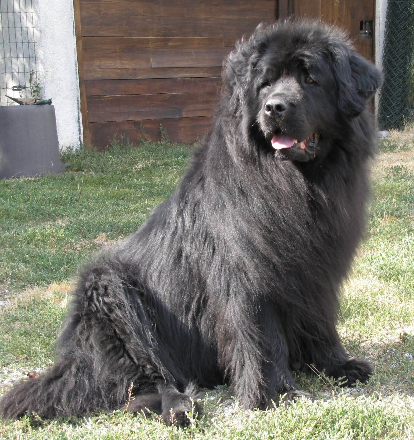 Vallouise De la Pierre aux Coqs